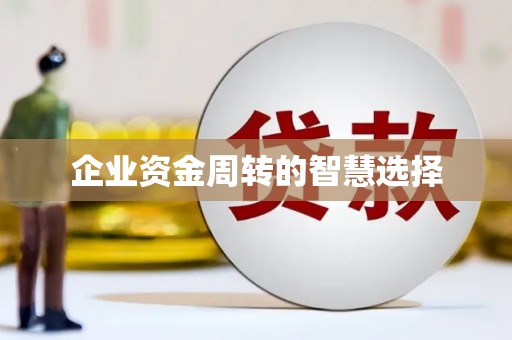 望都企业资金周转的智慧选择