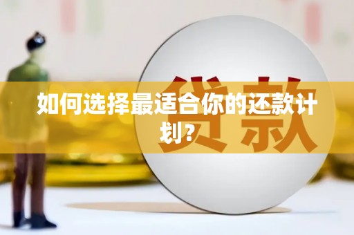 望都如何选择最适合你的还款计划？