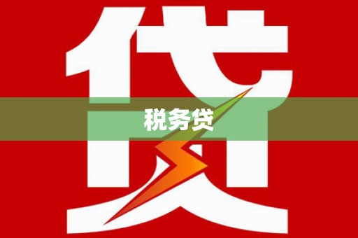 望都税务贷