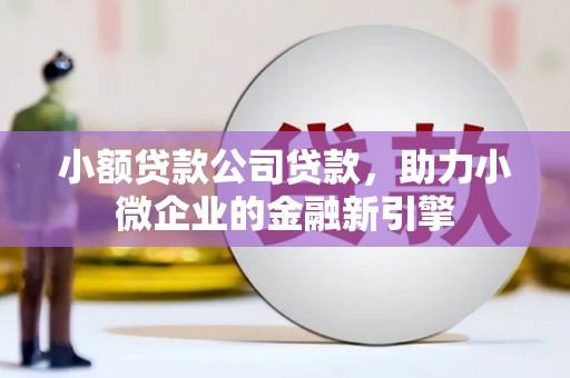 望都小额贷款公司贷款，助力小微企业的金融新引擎