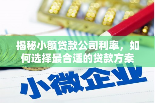 望都揭秘小额贷款公司利率，如何选择最合适的贷款方案