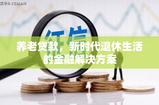 望都养老贷款，新时代退休生活的金融解决方案