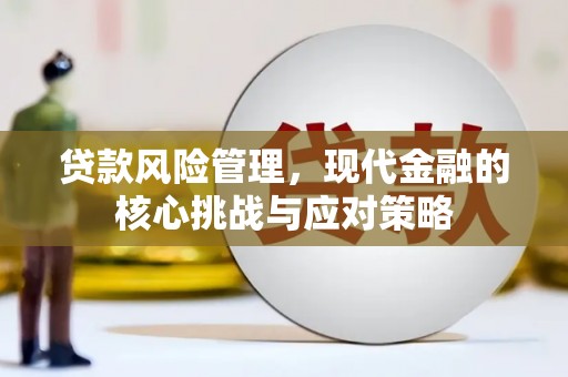 望都贷款风险管理，现代金融的核心挑战与应对策略