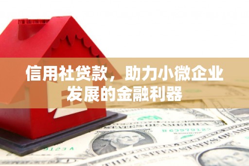 望都信用社贷款，助力小微企业发展的金融利器