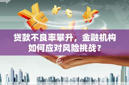 望都贷款不良率攀升，金融机构如何应对风险挑战？