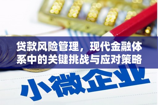 望都贷款风险管理，现代金融体系中的关键挑战与应对策略