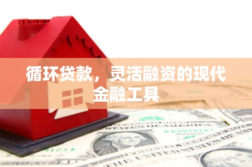 望都循环贷款，灵活融资的现代金融工具