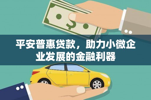 望都平安普惠贷款，助力小微企业发展的金融利器