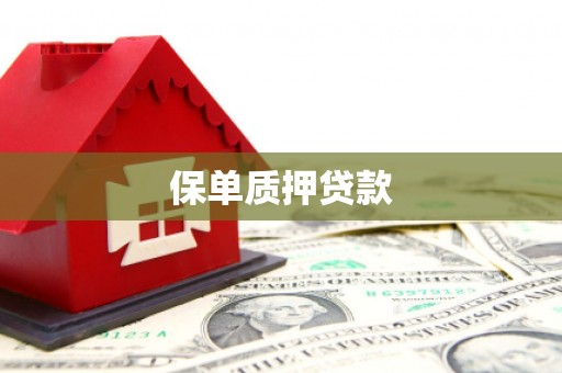 望都保单质押贷款