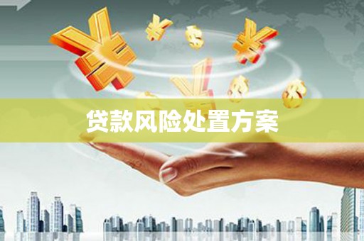 望都贷款风险处置方案