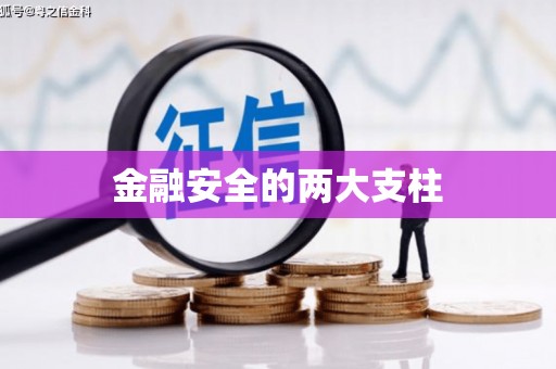 望都金融安全的两大支柱